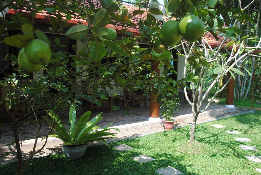 Aknara Rest Weligama Exterior foto