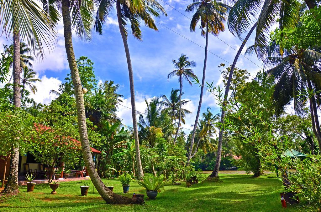 Aknara Rest Weligama Exterior foto