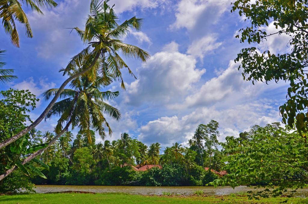 Aknara Rest Weligama Exterior foto